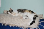 DSC_0175.JPG