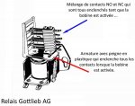 450px-GTBAGrelay.jpg
