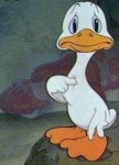 21035