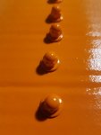 20190929_132650.jpg