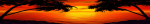 backwall beach devant le backwall base.png