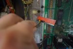 DSC07569.JPG