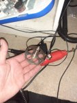 20200420_205441.jpg