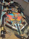 IMG_20200801_094530.jpg