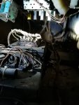 IMG_20201013_073555.jpg