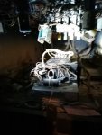 IMG_20201013_073543.jpg