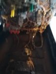 IMG_20201013_185506.jpg