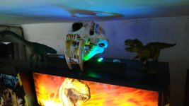 IMG_20201101_141546.jpg