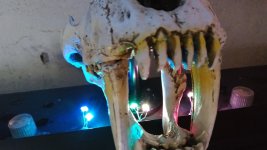 IMG_20201101_141204.jpg