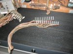 IMG_2617.JPG