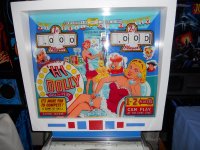 flipper Hi Dolly 016.JPG
