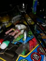 IMG_20201227_125550.jpg