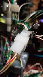 molex.jpg