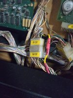 IMG_20210211_074958.jpg