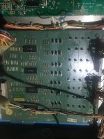 ECFFFB3E-9267-4BE9-BF5B-A2CC61160829.jpeg