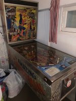 270321 flipper 2.jpg