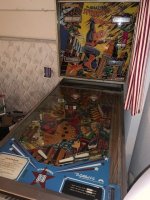 270321 flipper.jpg