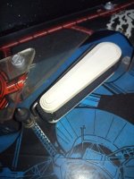 IMG_20211013_182330.jpg