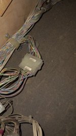 IMG_20211022_100042.jpg