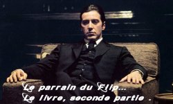 FF_Parrain.jpg