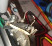 IMG_20211219_120123.jpg
