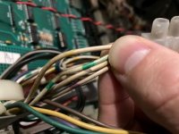 molex1.jpg