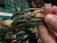 molex2.jpg
