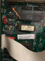 IMG_20220115_093242.jpg