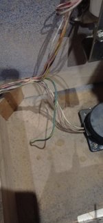 IMG_20220124_182013.jpg