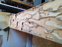 termites-ii-4d63f2b.jpg