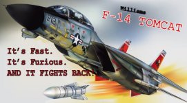 F14 right.jpg