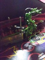 IMG_20220429_214318.jpg