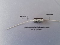 20220624_173931.jpg