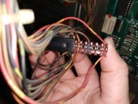 IMG_20220809_130554.jpg