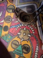 20220813_102002.jpg