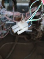 IMG_20220826_132725.jpg