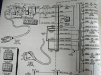 IMG_20220828_113615.jpg