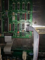 IMG_20220828_200956.jpg
