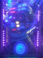 IMG_20220911_185857.jpg