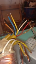 IMG_20221018_175515.jpg