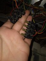20221115_073130.jpg