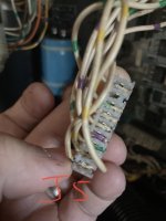 E2837DFE-AEE7-4B10-B0DC-9B3FD1C7DC1B.jpeg