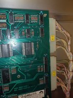 IMG_20230121_094049.jpg