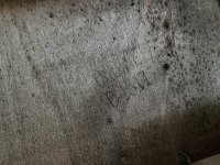 IMG_9710.JPG