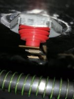 IMG_20230208_174419.jpg