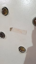 20230312_121302.jpg