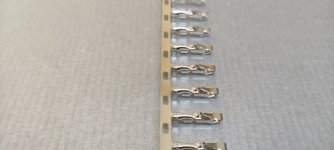 3863.jpg