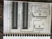 IMG_1516.jpeg
