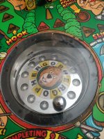 IMG_20230513_161230.jpg