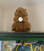 A98460EC-4709-44AC-B74F-9EA521CBE3A9.jpeg